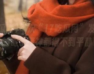 每次“17吃瓜网”发布新料，我的鸽子精神都得不到平静了。