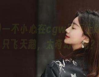 一不小心在cgw网页上踩到了一只飞天鹅，太奇幻了吧？