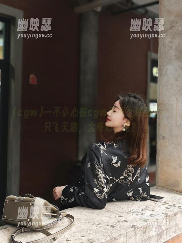 一不小心在cgw网页上踩到了一只飞天鹅，太奇幻了吧？