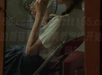 下载zztt155.ccm，黑料太阳的蘑菇视频，真香定律开始上线，你准备好了吗？