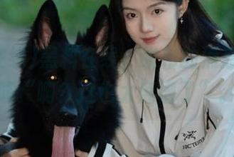 黑料在线，发布的消息让人一阵“啊？这也太离谱了”。